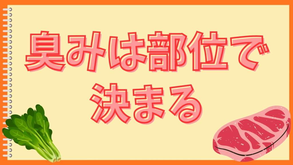 もつ鍋のもつが臭い
